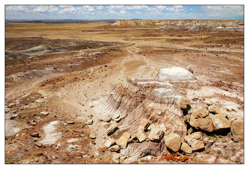 Petrified Forest