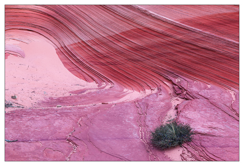 Vermilion Cliffs