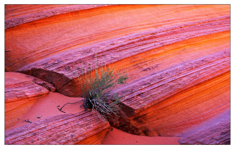 Vermilion Cliffs