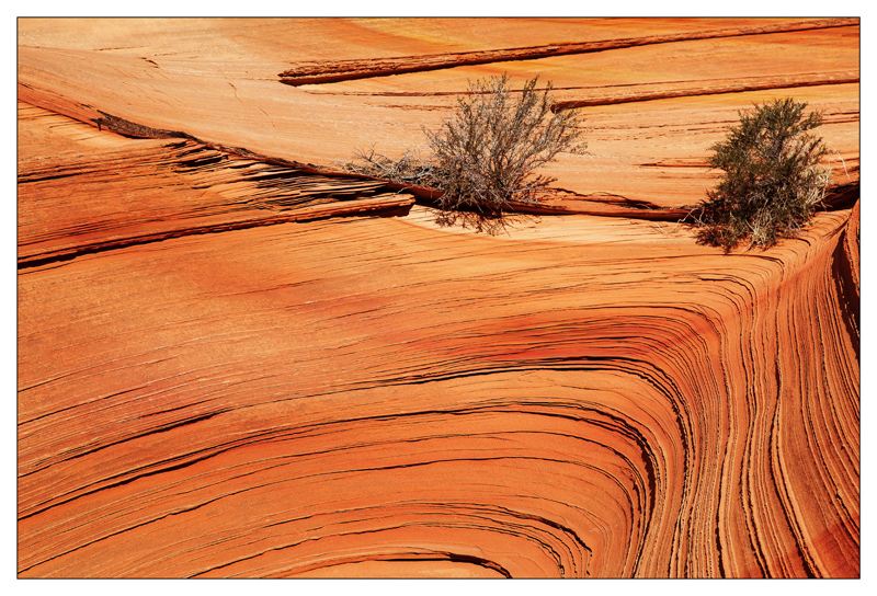 Vermilion Cliffs