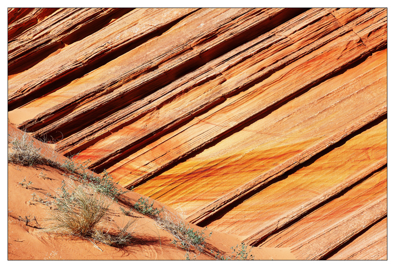 Vermilion Cliffs