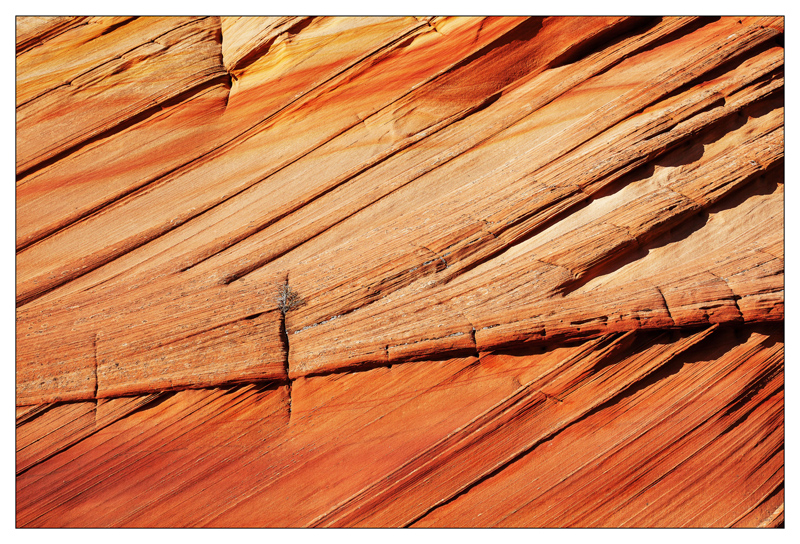 Vermilion Cliffs