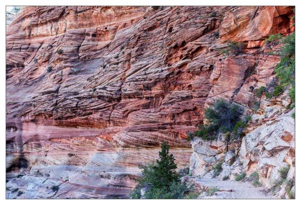 Zion National Park