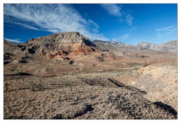 Zion National Park