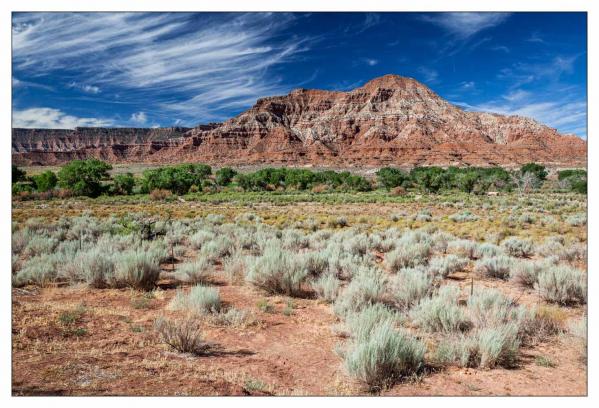 Zion National Park