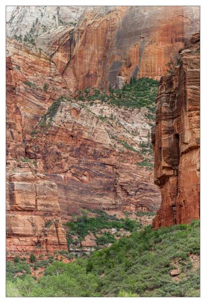 Zion National Park