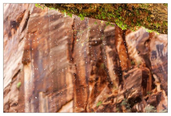 Zion National Park