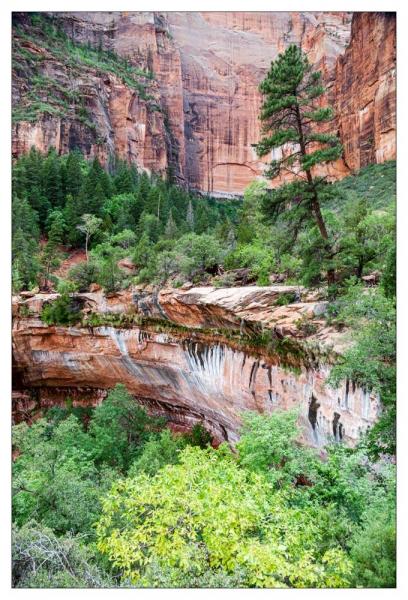 Zion National Park