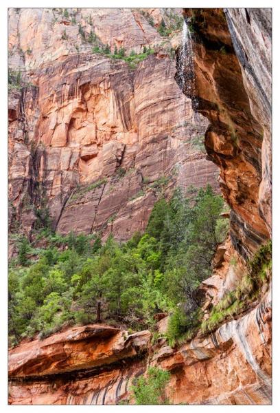 Zion National Park