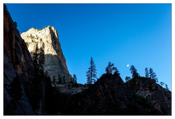 Zion National Park