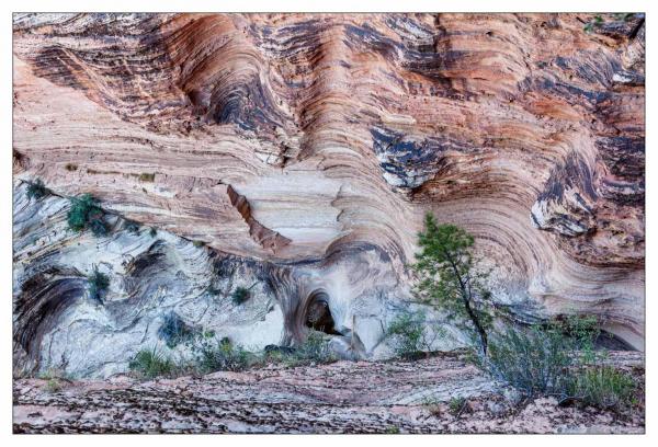 Zion National Park