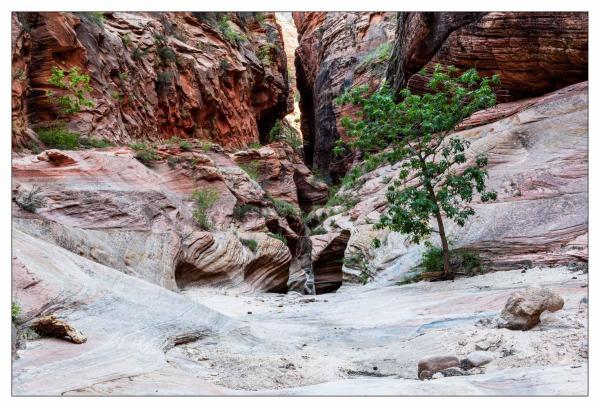 Zion National Park