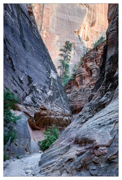 Zion National Park