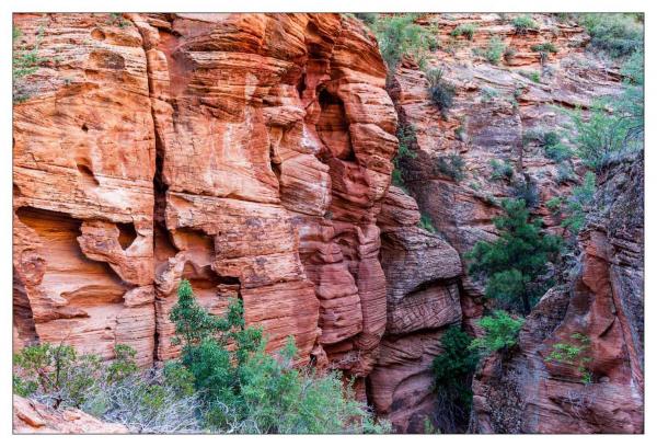 Zion National Park