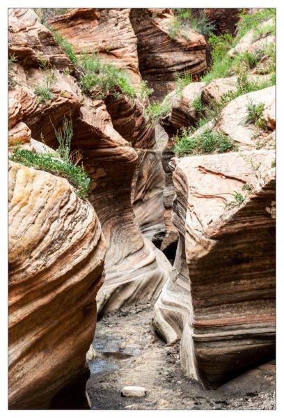 Zion National Park