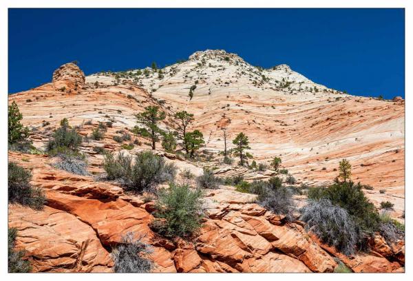 Zion National Park