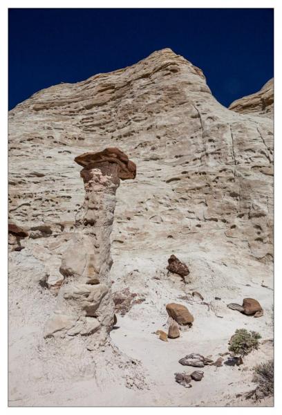 Toadstools Hoodoos