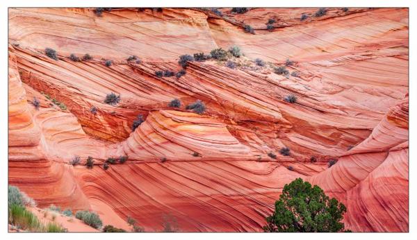 Vermilion Cliffs