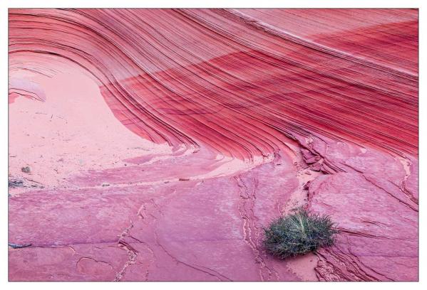 Vermilion Cliffs