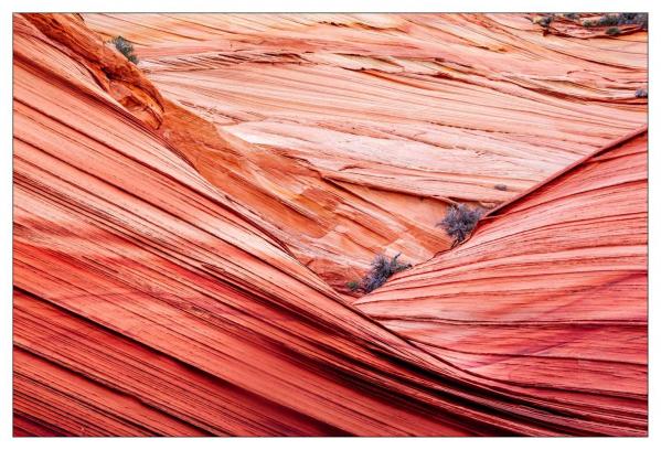 Vermilion Cliffs