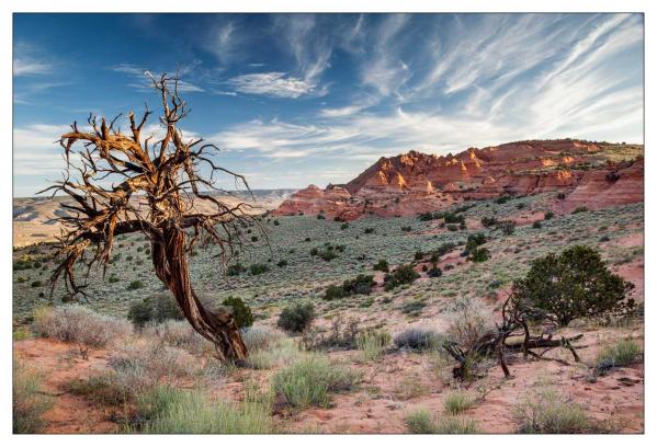 Vermilion Cliffs