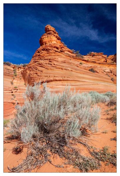 Vermilion Cliffs