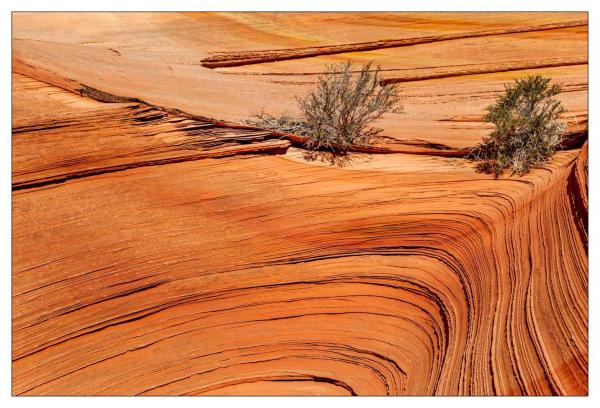 Vermilion Cliffs