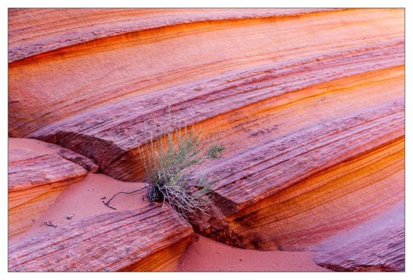 Vermilion Cliffs