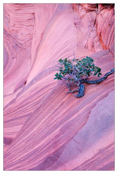 Vermilion Cliffs