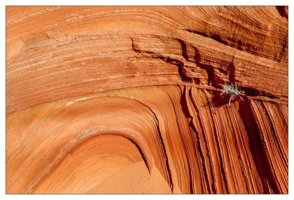 Vermilion Cliffs