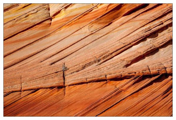 Vermilion Cliffs