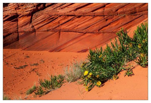 Vermilion Cliffs