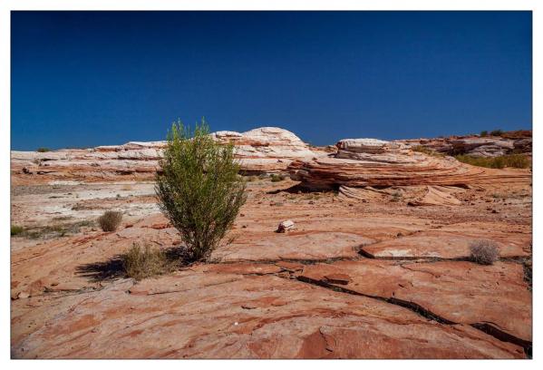 Lake Powell