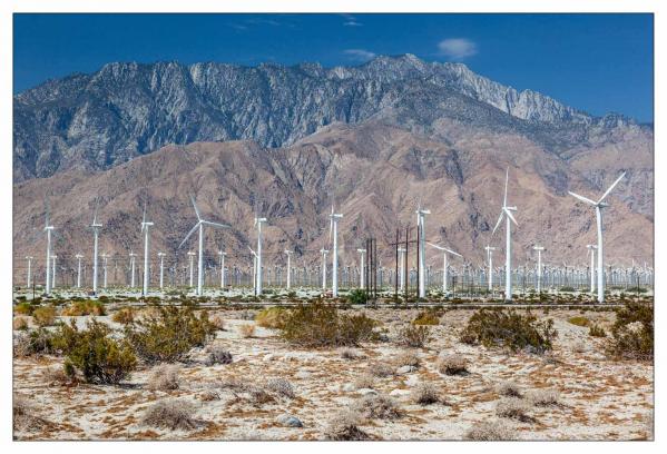 Palm Springs
