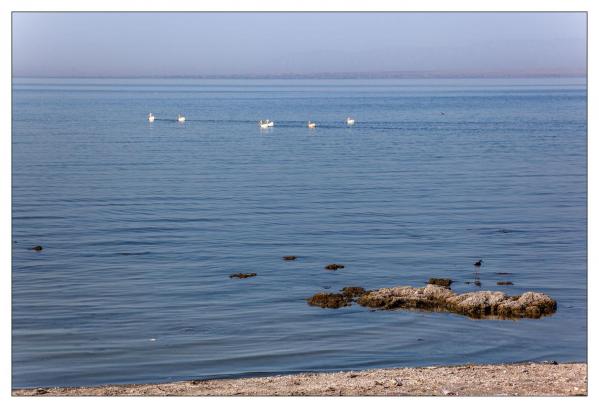 Bombay Beach