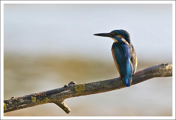 Bords de Loire