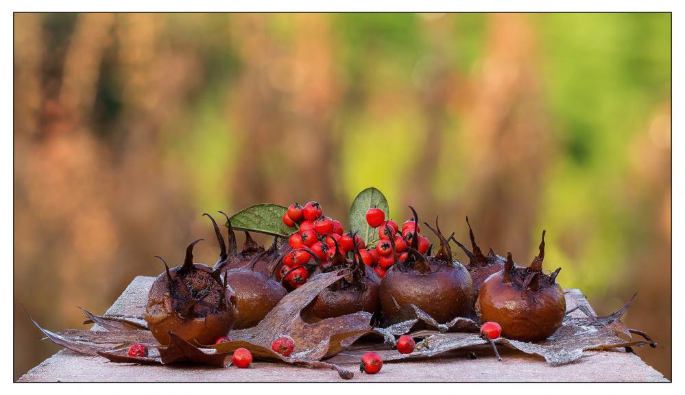 Focus Stacking