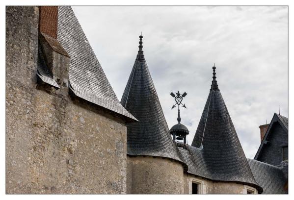 Fougères sur Bièvre