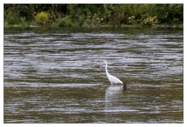 Chaumont sur Loire