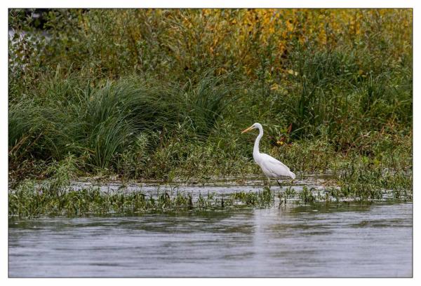 Chaumont sur Loire