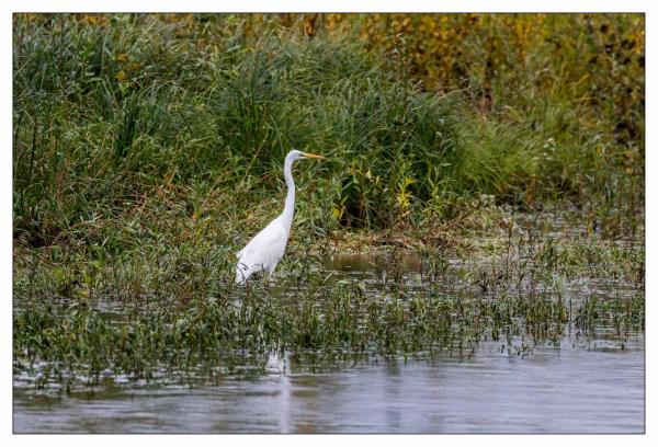 Chaumont sur Loire