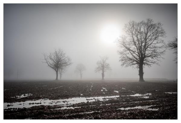 Allier
