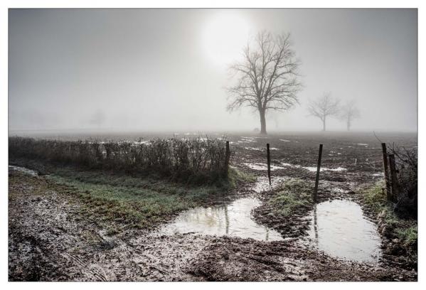 Allier