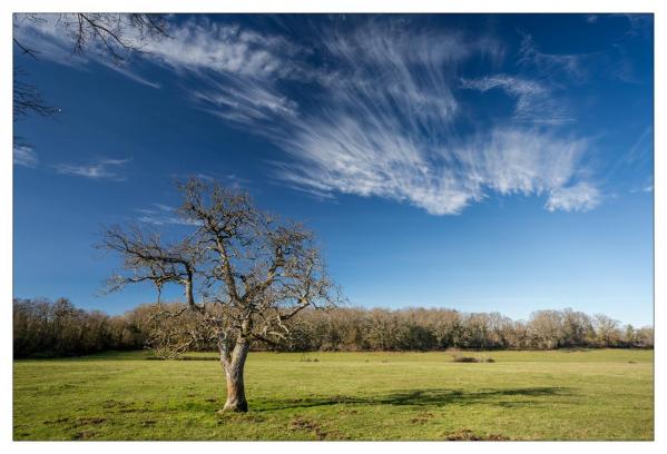 Val d'Allier