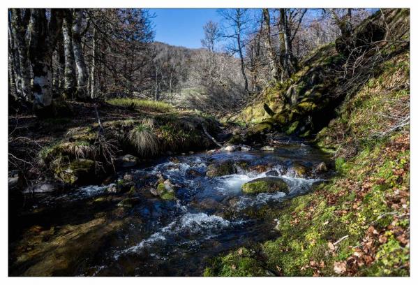 Auvergne