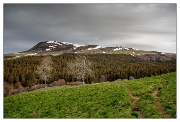 Auvergne