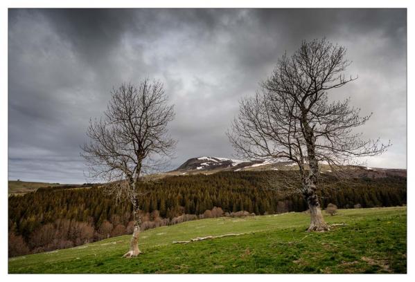 Auvergne