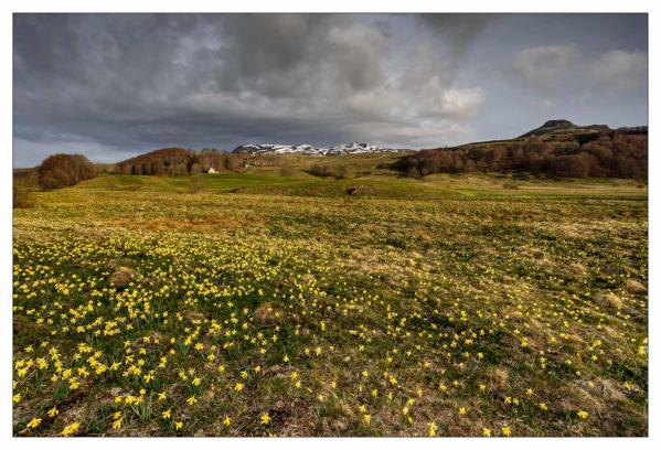 Auvergne