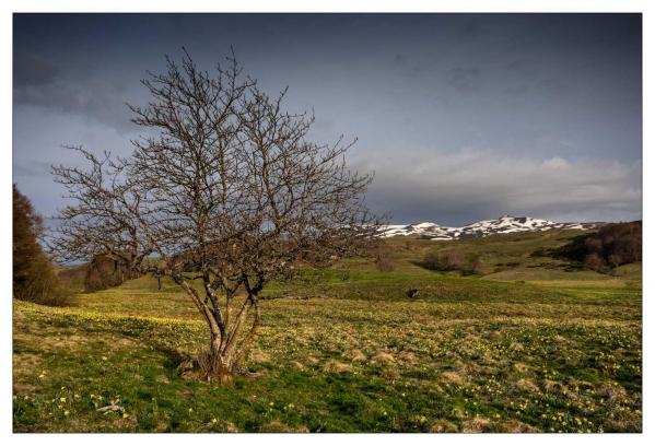 Auvergne