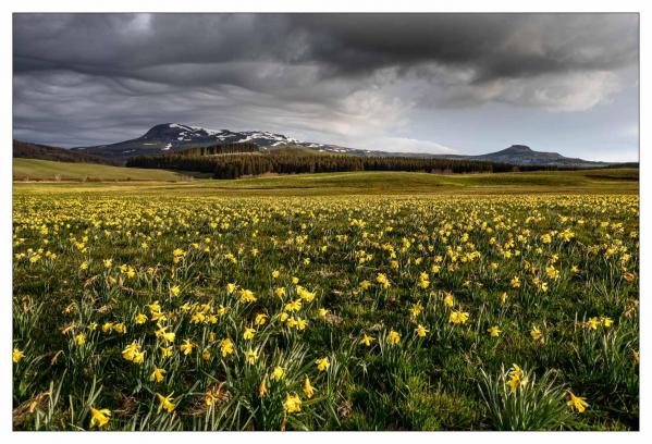 Auvergne